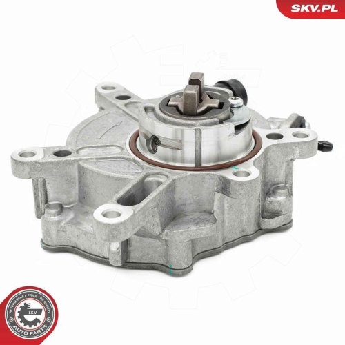 ESEN SKV Unterdruckpumpe, Bremsanlage 18SKV074