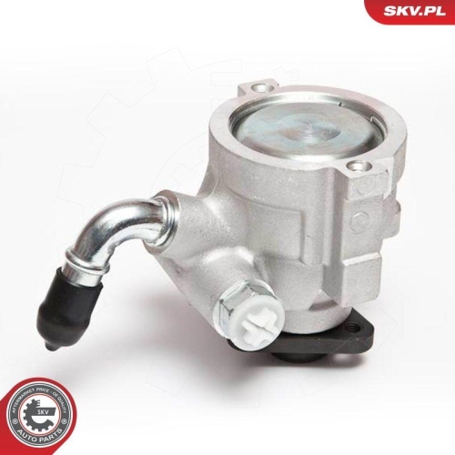 ESEN SKV Hydraulikpumpe, Lenkung 10SKV064