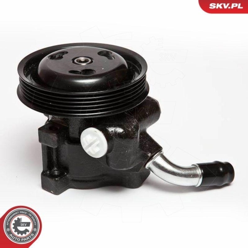 ESEN SKV Hydraulikpumpe, Lenkung 10SKV065