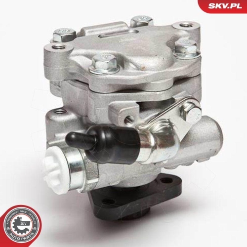 ESEN SKV Hydraulikpumpe, Lenkung 10SKV075
