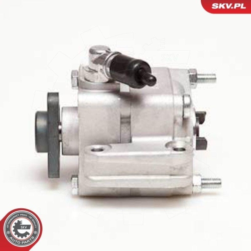 ESEN SKV Hydraulikpumpe, Lenkung 10SKV088