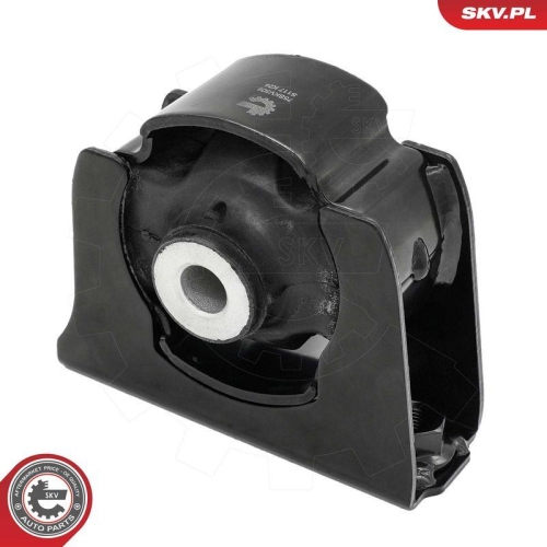 ESEN SKV Lagerung, Motor 75SKV309