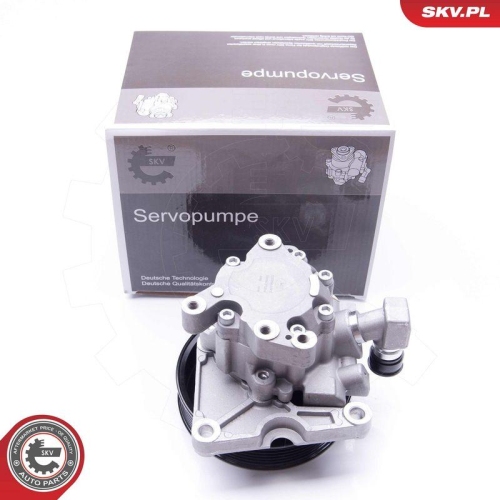 ESEN SKV Hydraulikpumpe, Lenkung 10SKV124
