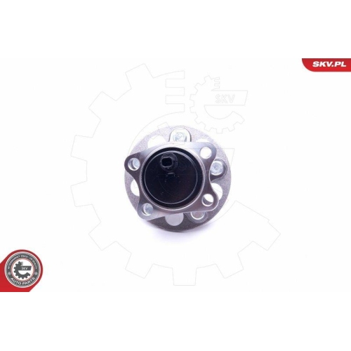 ESEN SKV Radlagersatz