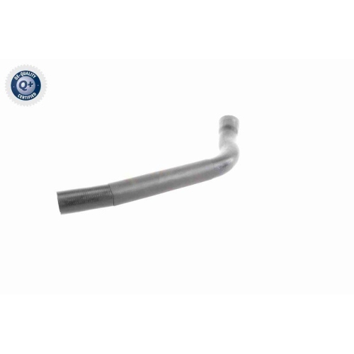 VAICO K&uuml;hlerschlauch Q+, Erstausr&uuml;sterqualit&auml;t V20-3333