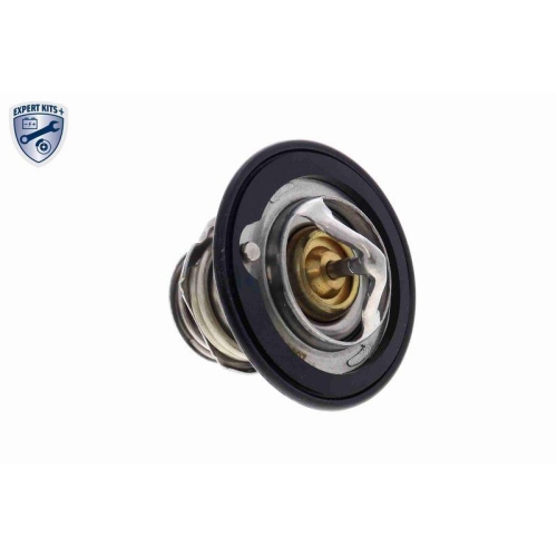 ACKOJA Thermostat, K&uuml;hlmittel EXPERT KITS + A26-99-0007