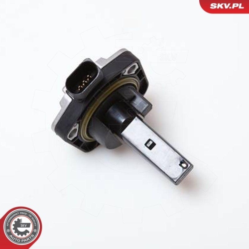 ESEN SKV Sensor, Motor&ouml;lstand 17SKV202