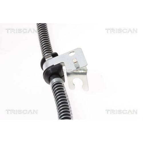 TRISCAN Bremsschlauch 8150 17221