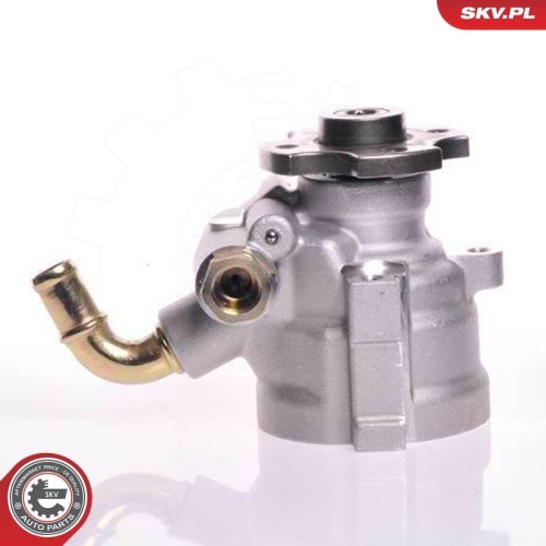ESEN SKV Hydraulikpumpe, Lenkung 10SKV133