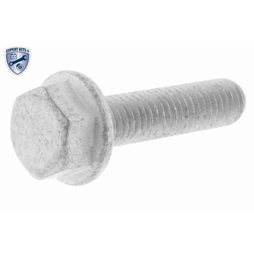 VAICO Wasserpumpe + Zahnriemensatz EXPERT KITS + V10-50110-BEK