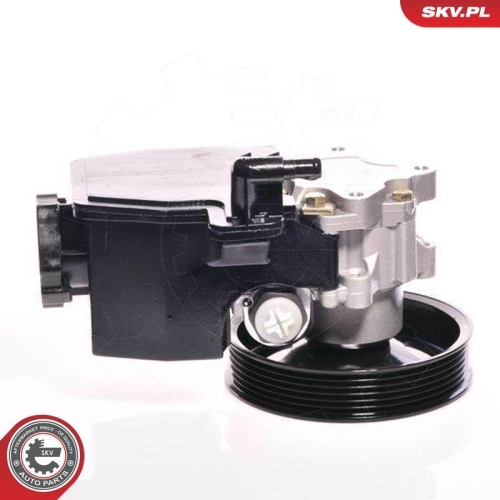 ESEN SKV Hydraulikpumpe, Lenkung 10SKV139