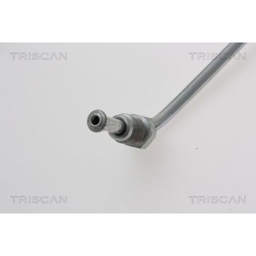 TRISCAN Bremsschlauch 8150 18229