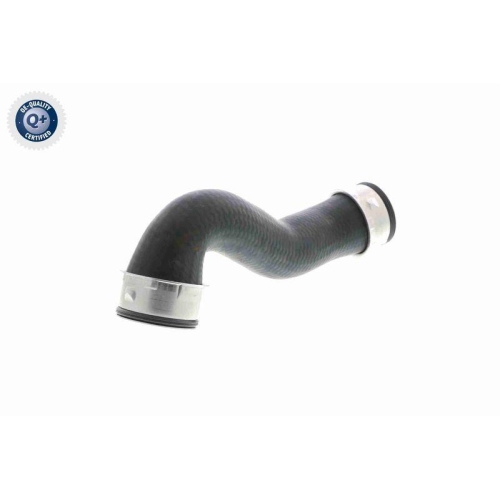 VAICO Ladeluftschlauch Q+, Erstausrüsterqualität V10-3761
