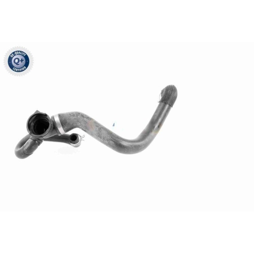 VAICO K&uuml;hlerschlauch Q+, Erstausr&uuml;sterqualit&auml;t V25-1164