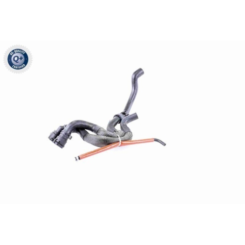 VAICO Kühlerschlauch Q+, Erstausrüsterqualität V10-3910