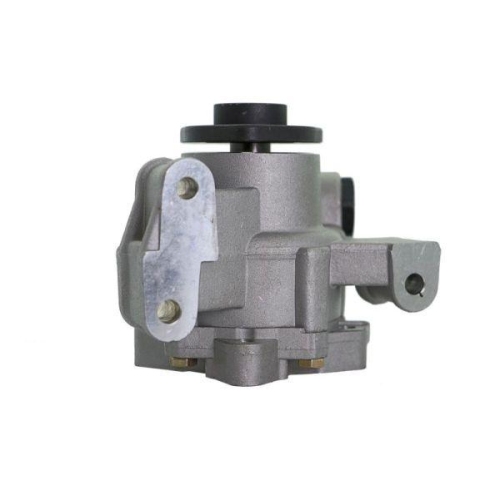 LAUBER Hydraulikpumpe, Lenkung 55.1031