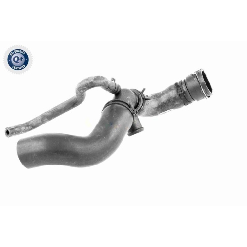 VAICO Kühlerschlauch Q+, Erstausrüsterqualität V10-3915
