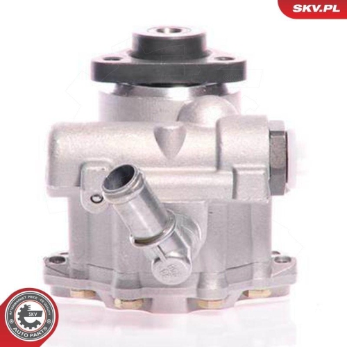ESEN SKV Hydraulikpumpe, Lenkung 10SKV161
