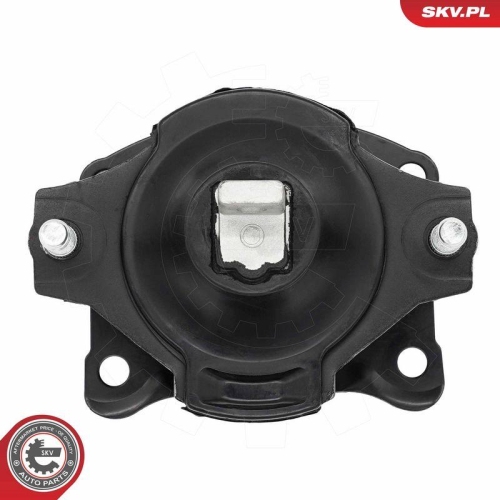 ESEN SKV Lagerung, Motor 75SKV319