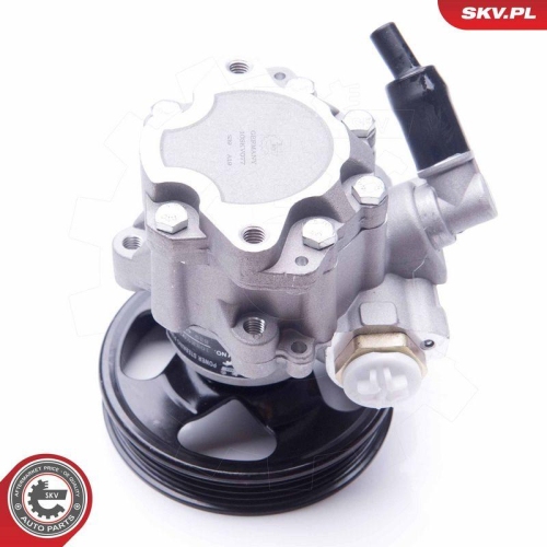 ESEN SKV Hydraulikpumpe, Lenkung 10SKV077