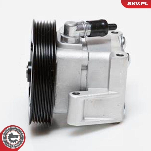 ESEN SKV Hydraulikpumpe, Lenkung 10SKV091