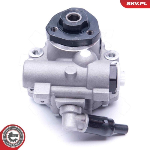 ESEN SKV Hydraulikpumpe, Lenkung 10SKV172