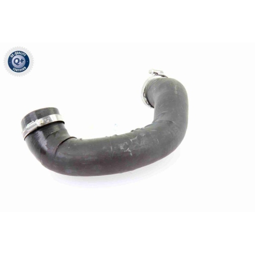 VAICO Ladeluftschlauch Q+, Erstausrüsterqualität V10-4393