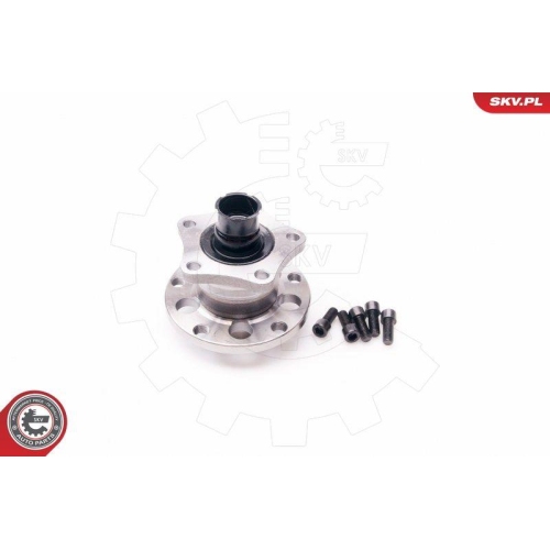 ESEN SKV Radlagersatz