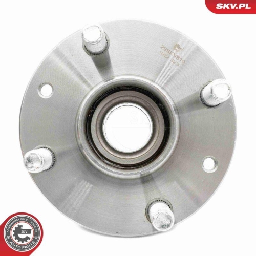 ESEN SKV Radlagersatz 29SKV619