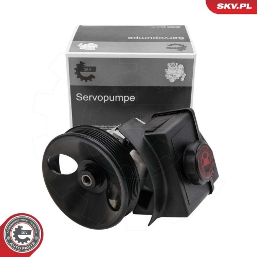 ESEN SKV Hydraulikpumpe, Lenkung 10SKV332