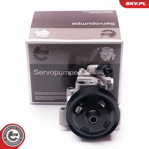 ESEN SKV Hydraulikpumpe, Lenkung 10SKV215