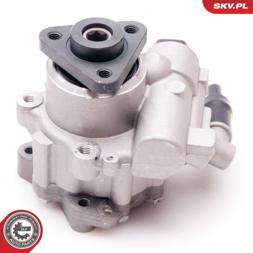 ESEN SKV Hydraulikpumpe, Lenkung 10SKV220