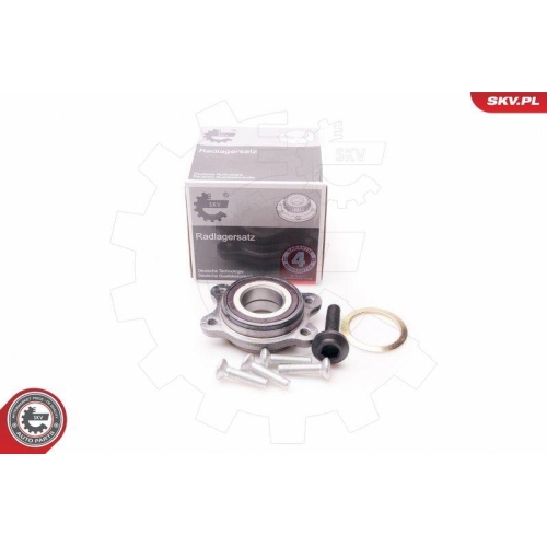 ESEN SKV Radlagersatz