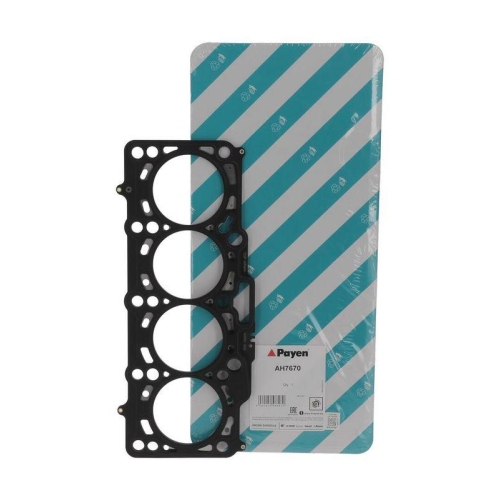 PAYEN Dichtung, Zylinderkopf AH7670