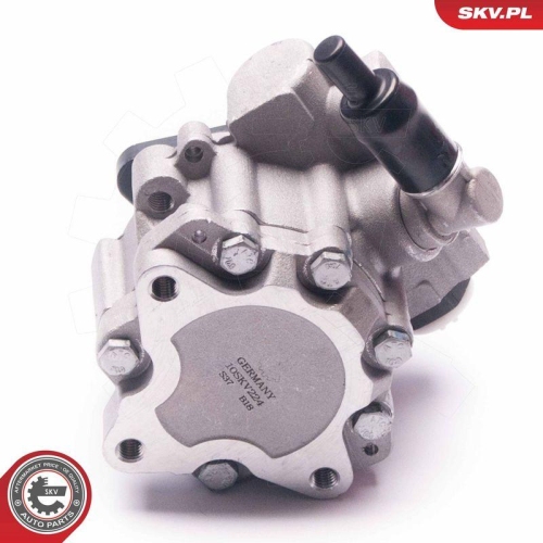 ESEN SKV Hydraulikpumpe, Lenkung 10SKV224