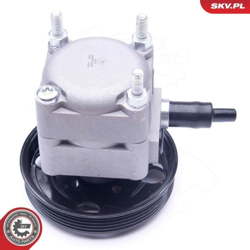 ESEN SKV Hydraulikpumpe, Lenkung 10SKV257