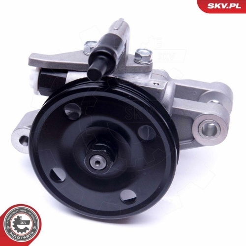 ESEN SKV Hydraulikpumpe, Lenkung 10SKV262