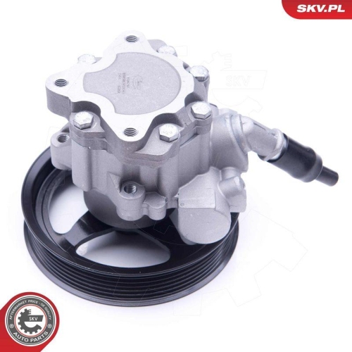 ESEN SKV Hydraulikpumpe, Lenkung 10SKV266