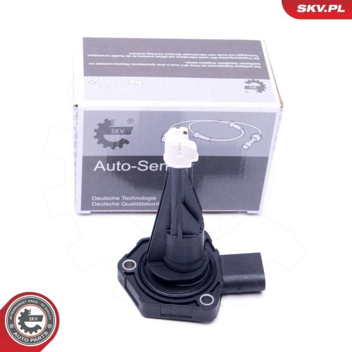 ESEN SKV Sensor, Motor&ouml;lstand 17SKV387