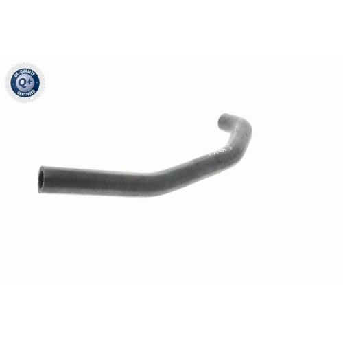 VAICO Kühlerschlauch Q+, Erstausrüsterqualität V10-4834