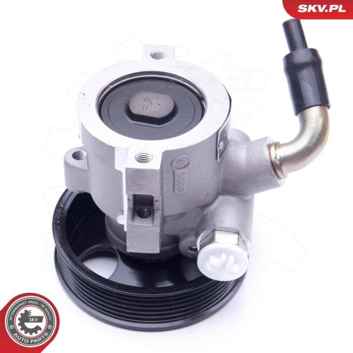 ESEN SKV Hydraulikpumpe, Lenkung 10SKV279