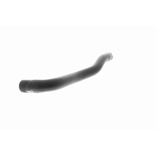 VAICO Kühlerschlauch Original VAICO Qualität