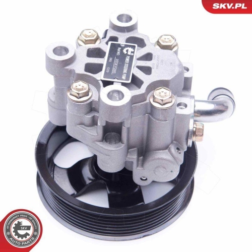 ESEN SKV Hydraulikpumpe, Lenkung 10SKV285