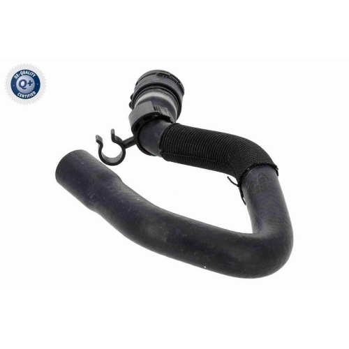 VAICO Kühlerschlauch Q+, Erstausrüsterqualität V10-4889