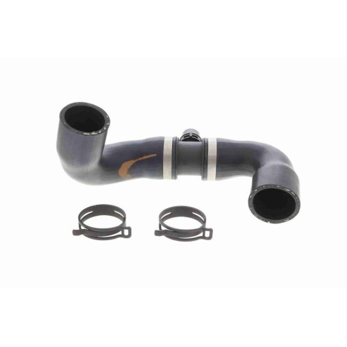 VAICO Kühlerschlauch Green Mobility Parts V20-4244