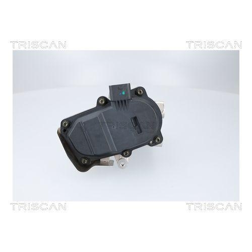 TRISCAN AGR-Ventil 8813 23041