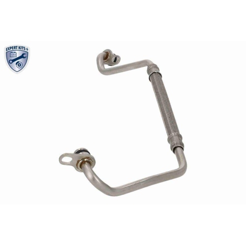 VAICO Ölleitung, Lader EXPERT KITS +