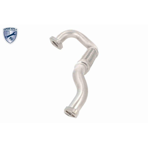 VAICO Ölleitung, Lader EXPERT KITS +