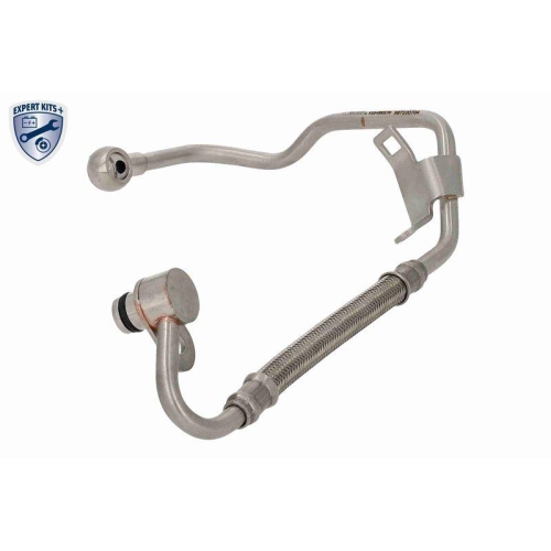 VAICO Ölleitung, Lader EXPERT KITS +