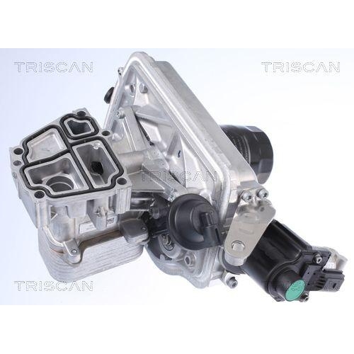TRISCAN K&uuml;hler, Abgasr&uuml;ckf&uuml;hrung 8813 29323